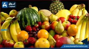 ارتفاع الكانتلوب.. أسعار الفاكهة ترتفع في سوق العبور اليوم الأربعاء